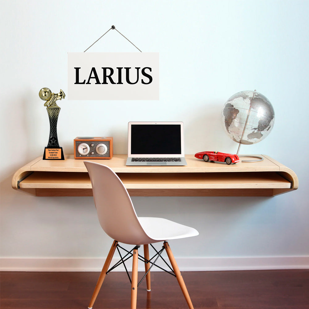 Larius Fußball Siegerpokal (26 cm, 365 g) – Goldene Trophäe F4