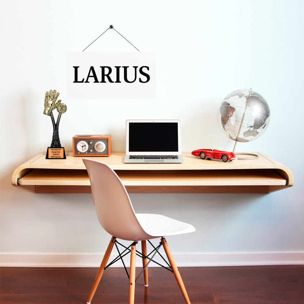 Larius Fußball Siegerpokal (26 cm, 320 g) – Goldene Trophäe F2