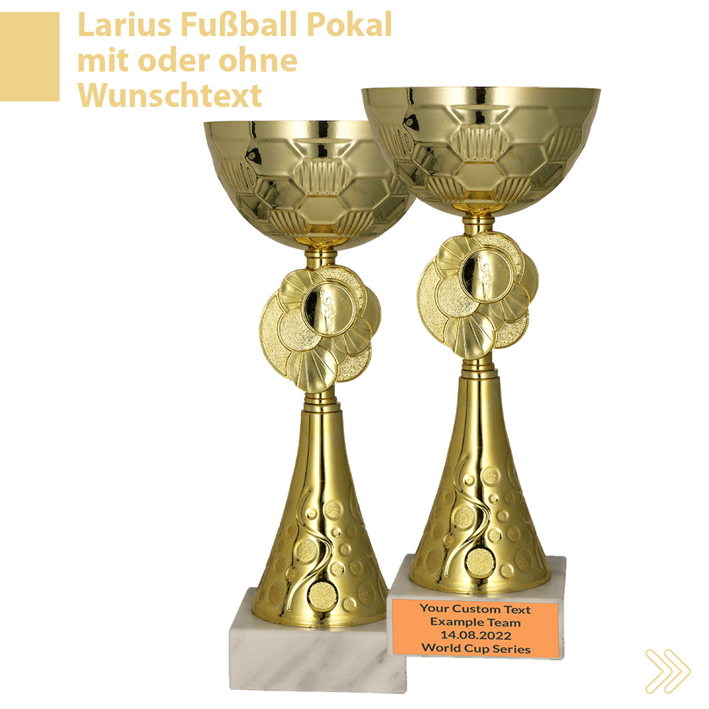 Larius Pokal M2 - (20 cm, 245g) – Personalisierbare Trophäe aus Metall mit Steinsockel