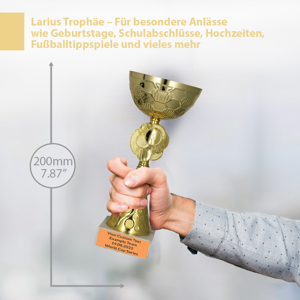 Larius Pokal M2 - (20 cm, 245g) – Personalisierbare Trophäe aus Metall mit Steinsockel