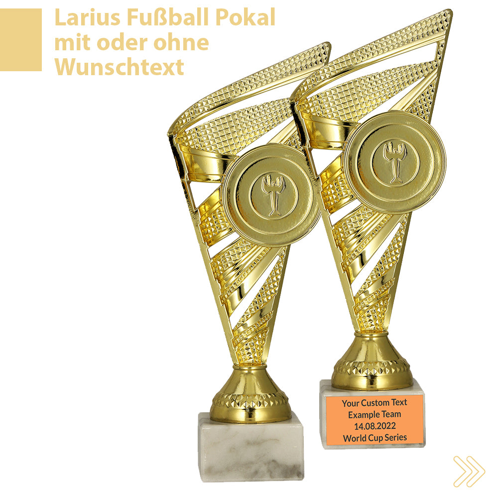 Larius Pokal M1 - (23 cm, 278g) – Personalisierbare Trophäe mit Steinsockel