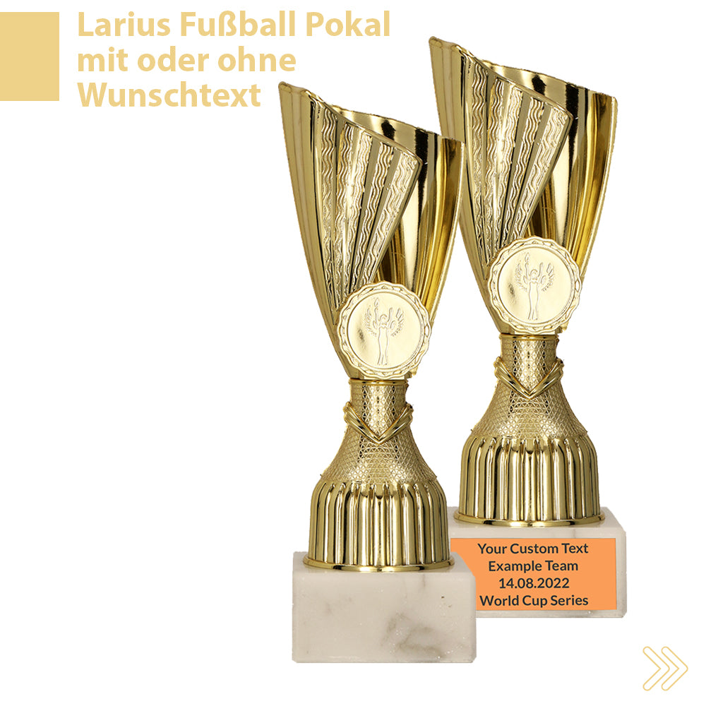 Larius Pokal M3 - (17 cm, 192g) – Personalisierbare Trophäe mit Steinsockel