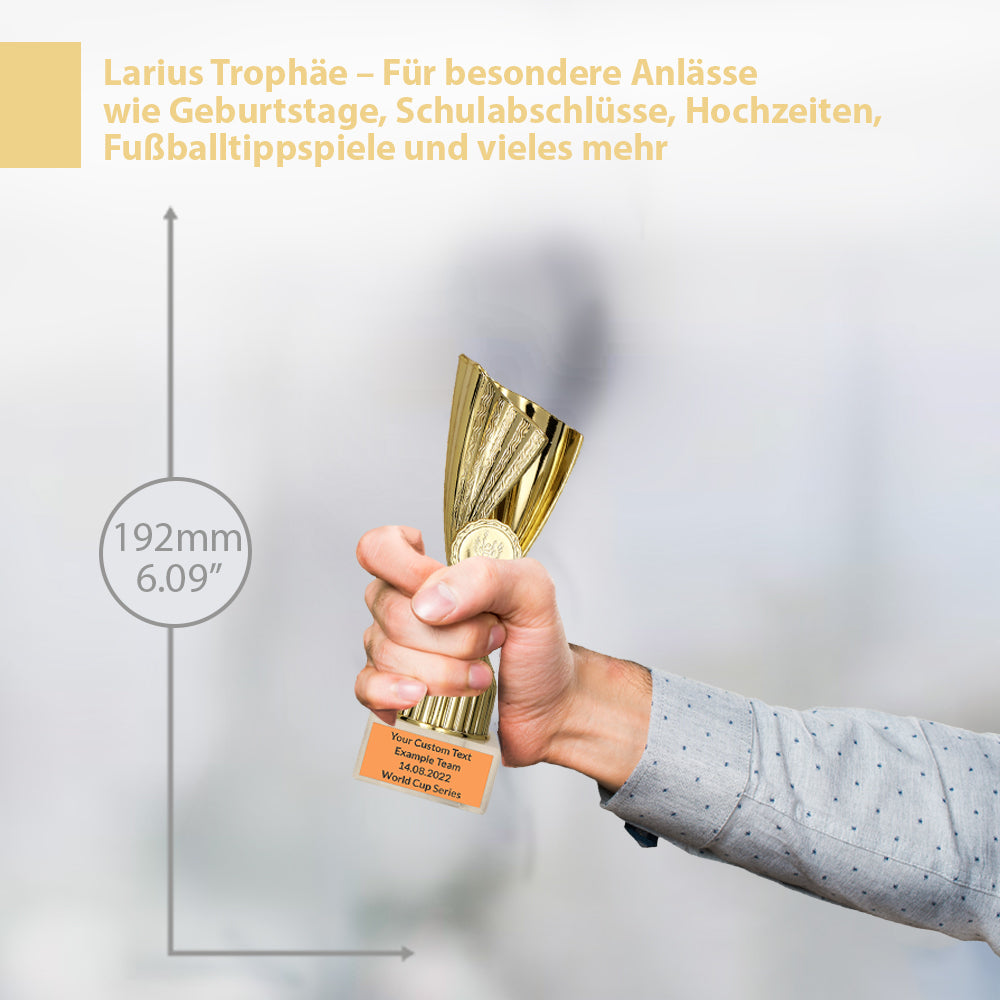 Larius Pokal M3 - (17 cm, 192g) – Personalisierbare Trophäe mit Steinsockel