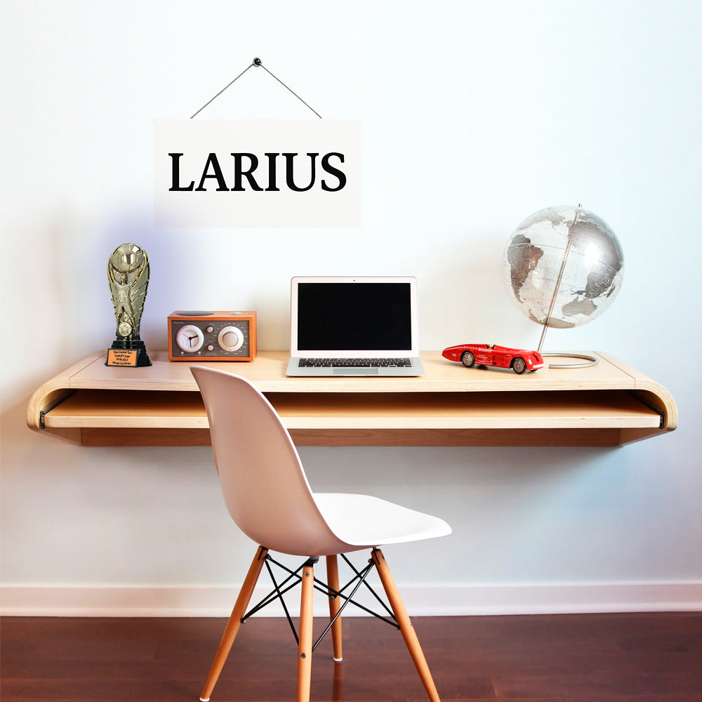 Larius Premium Fußball Pokal 25 cm (Gewicht 1,2 kg) – Siegerpokal F1