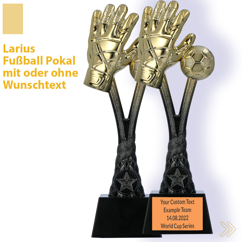Larius Fußball Siegerpokal (26 cm, 320 g) – Goldene Trophäe F2