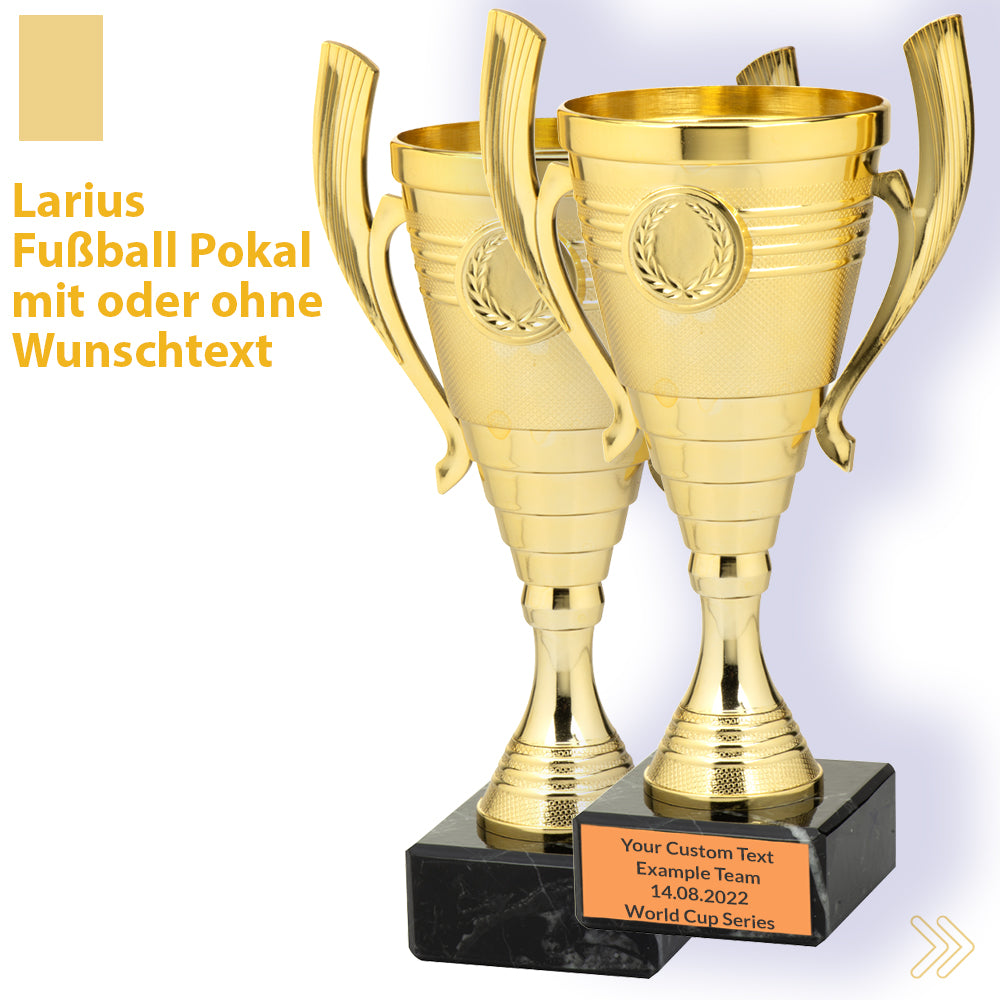 Larius Pokal B3 - (22cm, 415g) – universelle Trophäe mit Marmorsockel